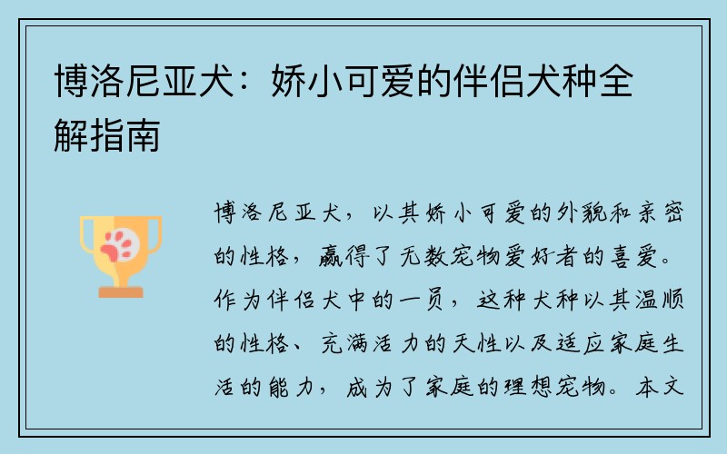 博洛尼亚犬：娇小可爱的伴侣犬种全解指南