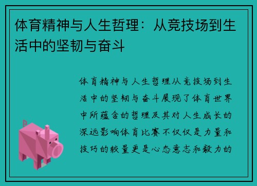 体育精神与人生哲理：从竞技场到生活中的坚韧与奋斗