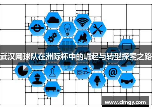 武汉网球队在洲际杯中的崛起与转型探索之路